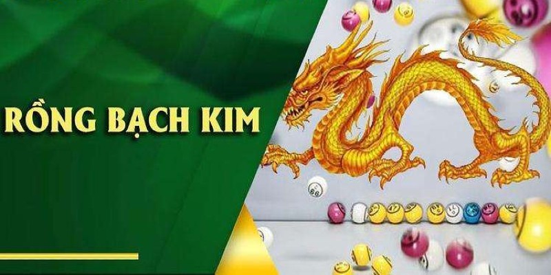 Tìm hiểu sơ lược thông tin về rồng bạch kim